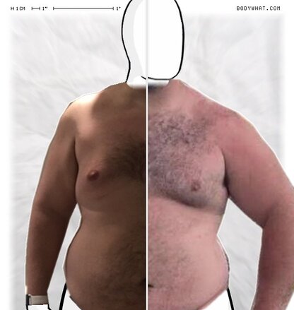 Torso Comparison