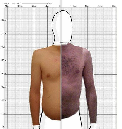 Torso Comparison