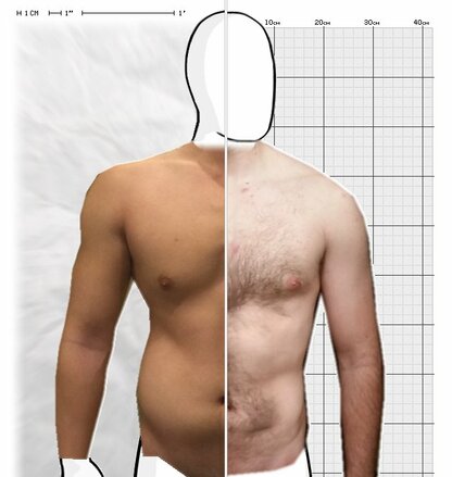 Torso Comparison