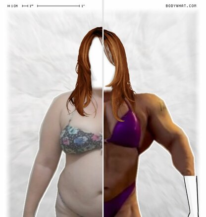 Torso Comparison