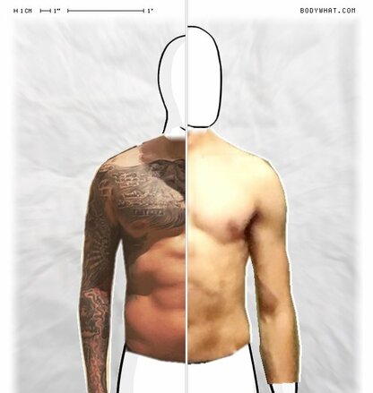 Torso Comparison