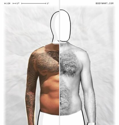 Torso Comparison
