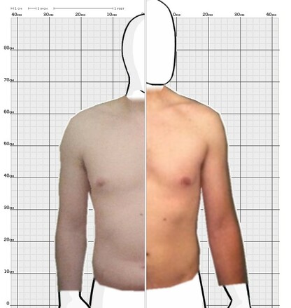 Torso Comparison