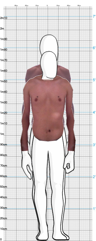 Full Size Comparison