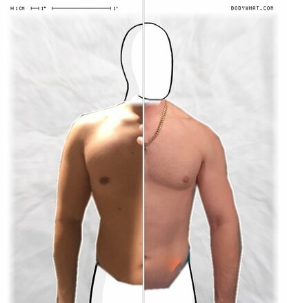 Torso Comparison