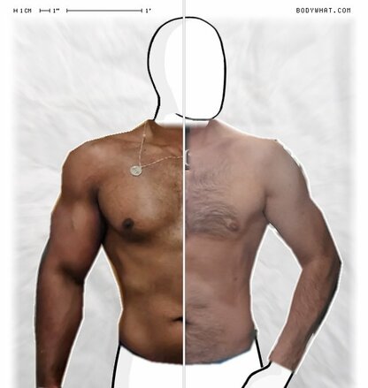 Torso Comparison