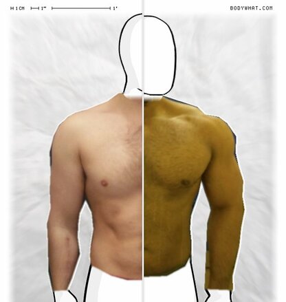 Torso Comparison