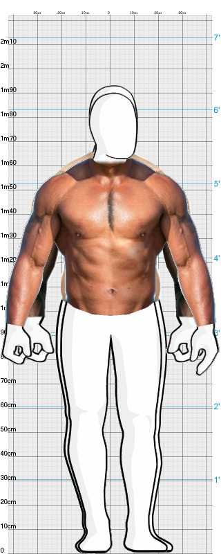 Full Size Comparison