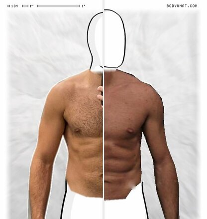 Torso Comparison