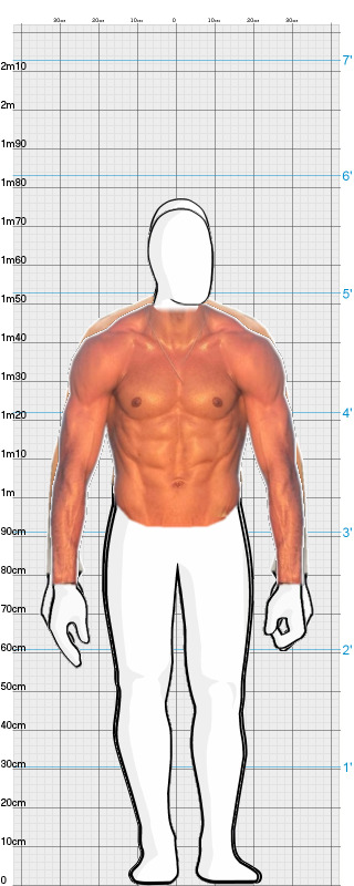 Full Size Comparison