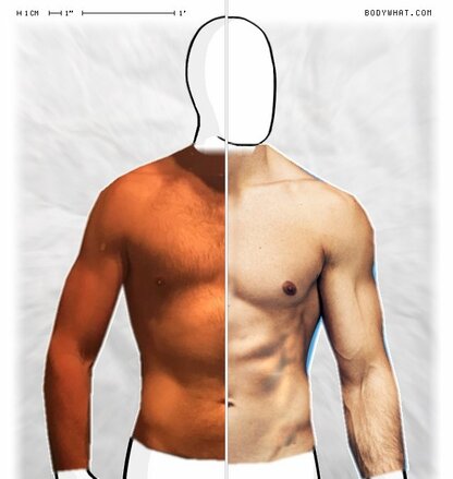 Torso Comparison