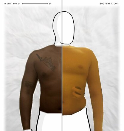 Torso Comparison