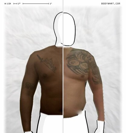 Torso Comparison