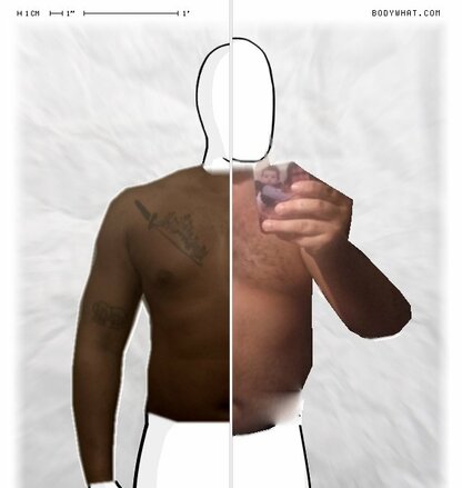 Torso Comparison