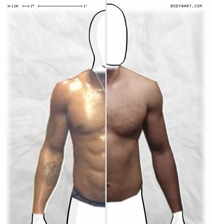 Torso Comparison