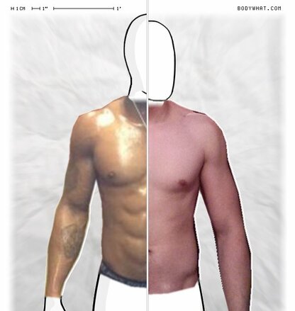 Torso Comparison