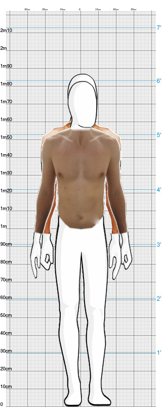 Full Size Comparison