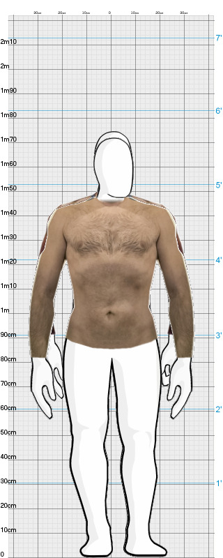 Full Size Comparison