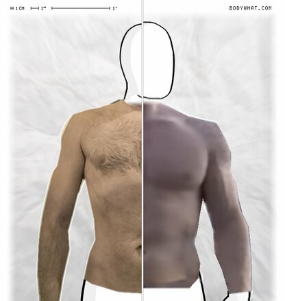 Torso Comparison