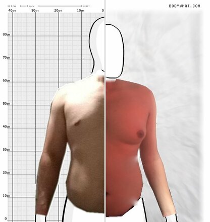 Torso Comparison