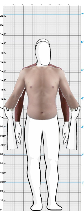 Full Size Comparison