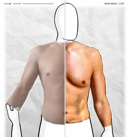 Torso Comparison