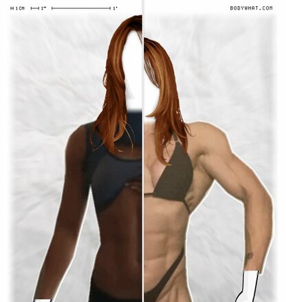 Torso Comparison