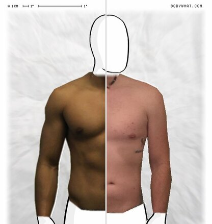 Torso Comparison