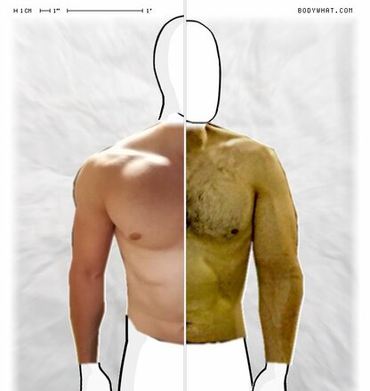 Torso Comparison