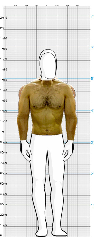 Full Size Comparison