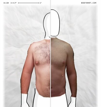 Torso Comparison