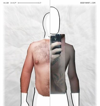 Torso Comparison