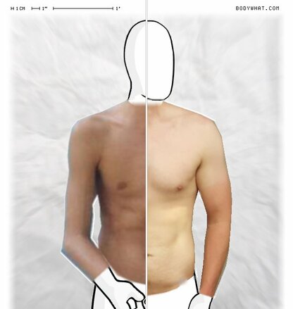 Torso Comparison