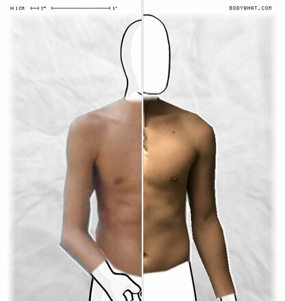 Torso Comparison