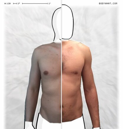 Torso Comparison