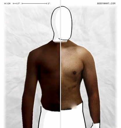 Torso Comparison