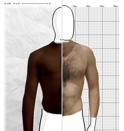 Torso Comparison