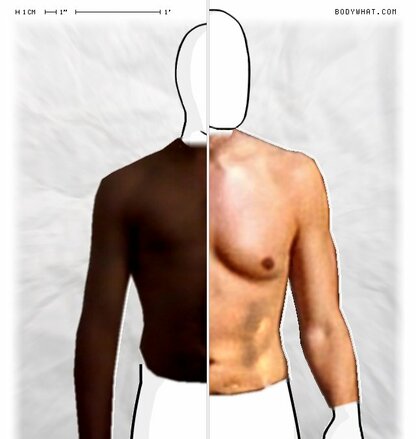 Torso Comparison