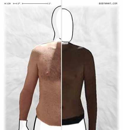 Torso Comparison