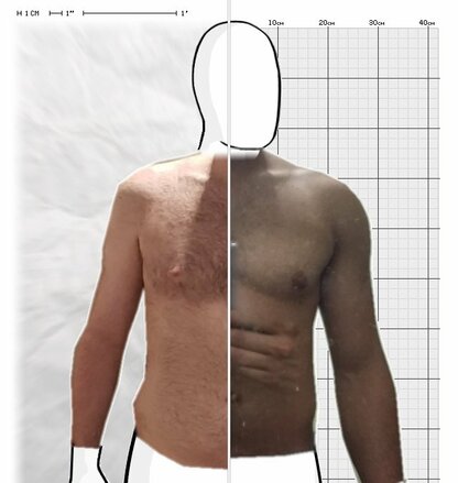 Torso Comparison