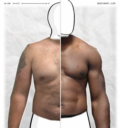 Torso Comparison