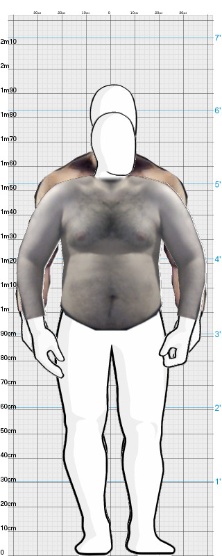 Full Size Comparison