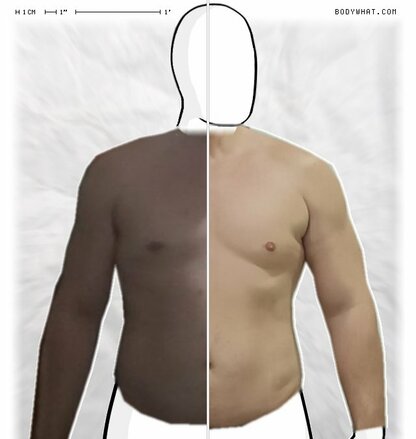 Torso Comparison