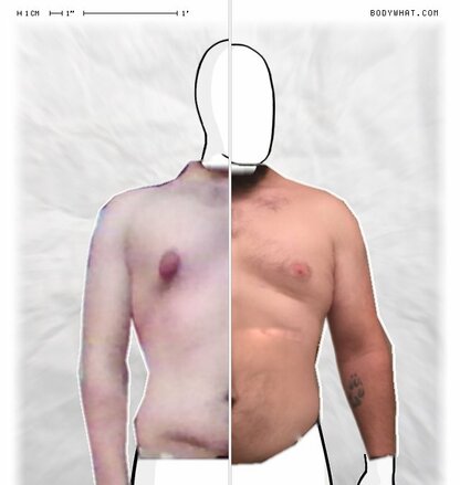 Torso Comparison