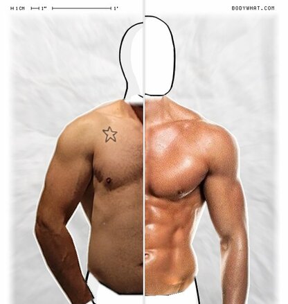 Torso Comparison