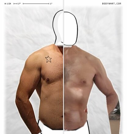 Torso Comparison
