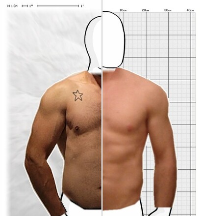 Torso Comparison
