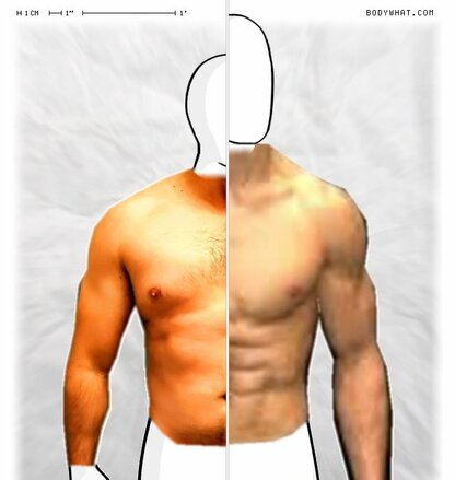 Torso Comparison