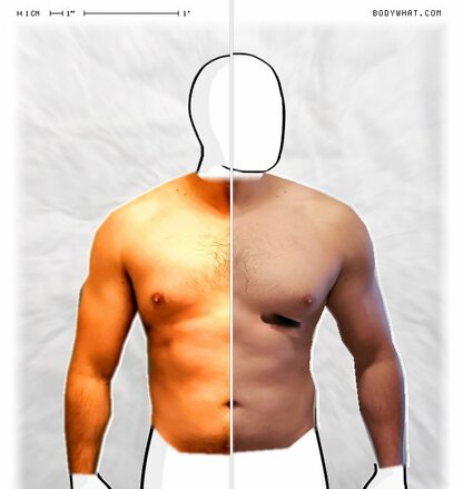 Torso Comparison