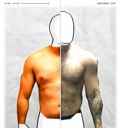 Torso Comparison